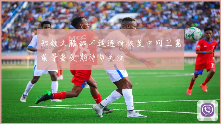郑钦文膝部不适逐渐恢复中网卫冕前景备受期待与关注